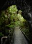 10VolcanoNP - 83 * Thurston Lava Tube (Nahuku)